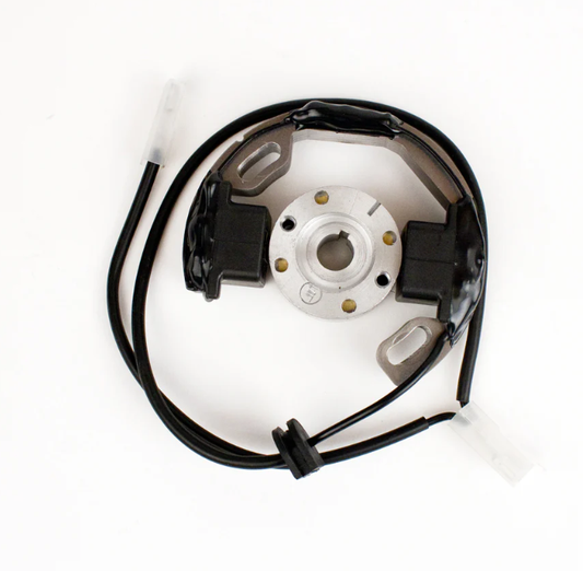 IGNIÇÃO SELETTRA Mini X30 (273)